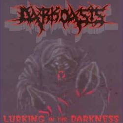 Dark Oasis : Lurking in the Darkness